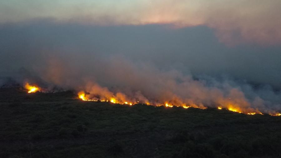 31.out.2019 - Foco de incêndio na região do Pantanal (MS), às margens da rodovia BR-262 - Chico Ribeiro/Governo de MS