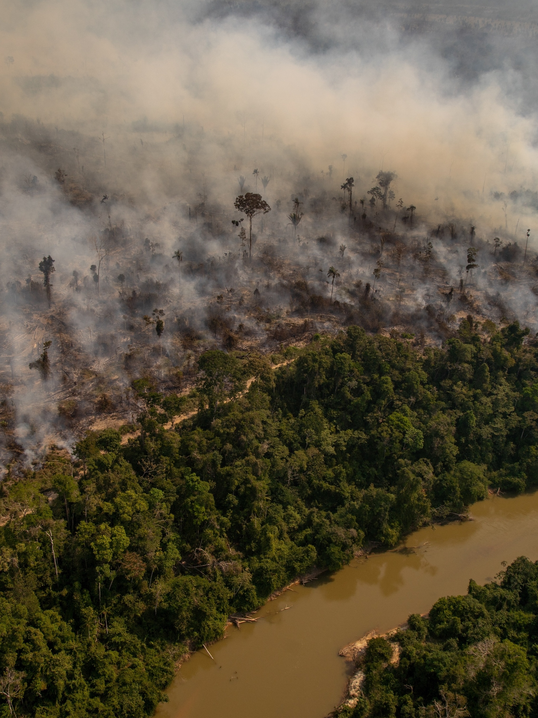 Informações erradas causaram fim do confinamento antes da segunda onda da  Covid-19 na Amazônia - Amazônia Real