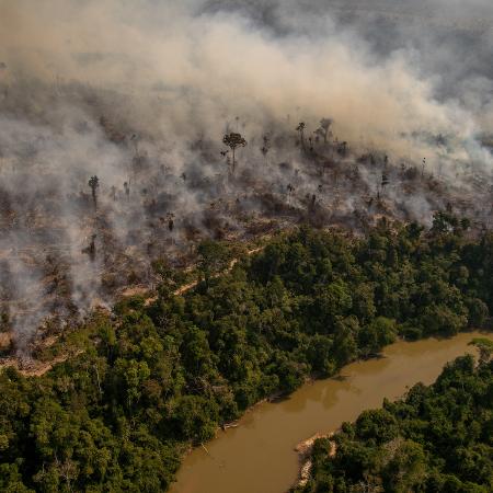 16.ago.2020 - Área devastada pelo fogo na Amazônia - Christian Braga / Greenpeace