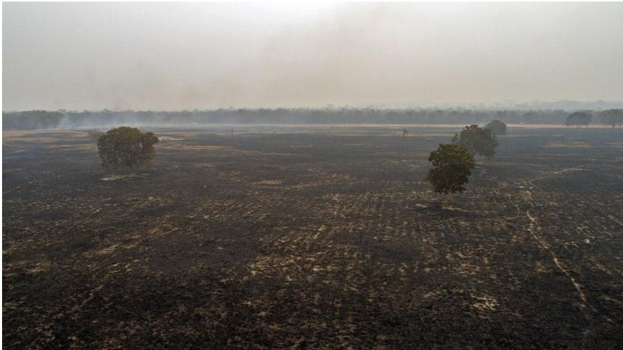 Terra devastada. Área queimada na região de Cuiabá. Esforços oficiais para salvar o Pantanal são modestos. Desmonte da política ambiental rende frutos: incêndios. Cadê as Forças Armadas que, de fato, governam o país? - Rogério Florentino/EFE
