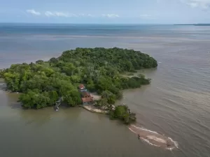 Misterioso campo magnético da Terra poderá ser desvendado em ilha na Amazônia