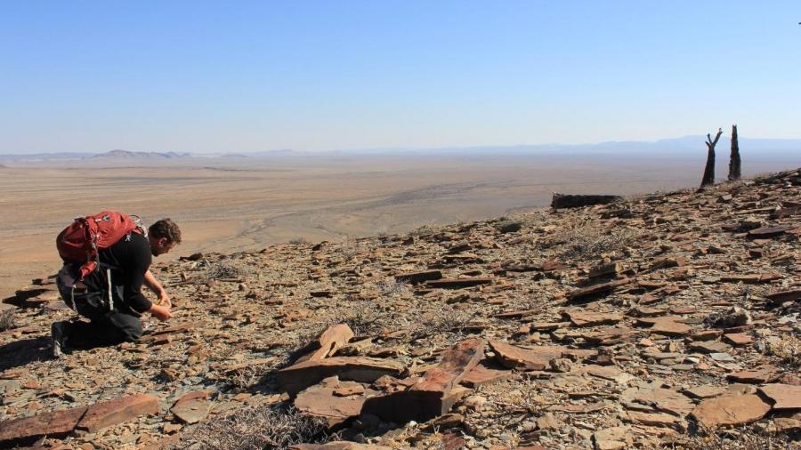 Simon Darroch, paleontologista da Universidade Vanderbilt, examina fósseis na Namíbia - NYT