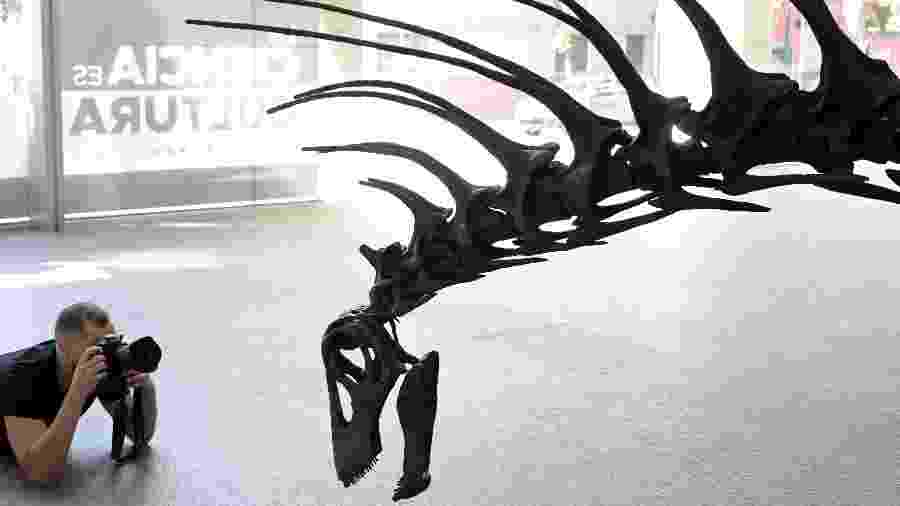 Dinossauro que se defendia com espinhos é descoberto na Argentina 04/02/2019 UOL TILT