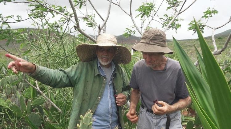 Nelson Araújo Filho (à gauche) montre son agroforesterie au Suisse Ernst Gotsch, l'un des principaux promoteurs des systèmes agroforestiers au Brésil - BBC - BBC 