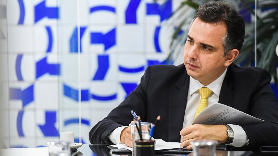 Rodrigo Pacheco, presidente do Senado, fez defesa da atuação do STF - Pedro Gontijo/Senado Federal