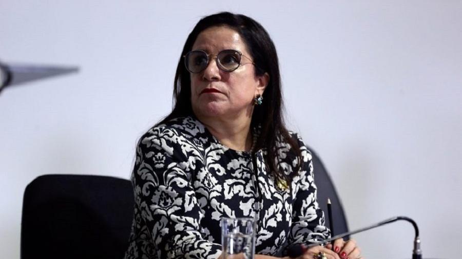 Elizabeth Guedes, presidente da Anup, foi nomeada hoje para órgão vinculado ao MEC - Divulgação/Anup