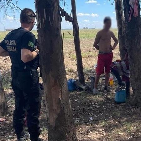 Operação em Uruguaiana (RS) resgatou 11 adolescentes do trabalho escravo  - Divulgação/Polícia Federal