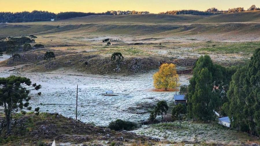 Geada atinge o Vale do Caminho da Neve, em São Joaquim (SC), no dia 17 de maio de 2024