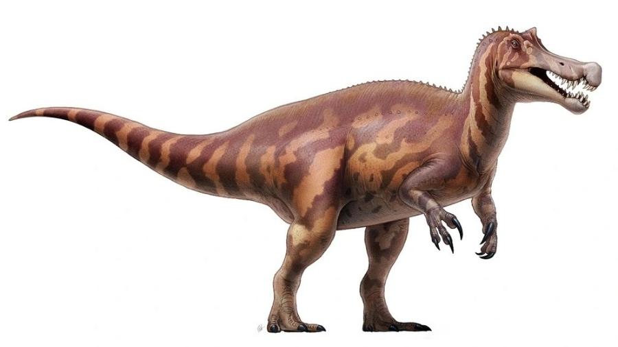 Irritator challengeri Irritator challengeri
