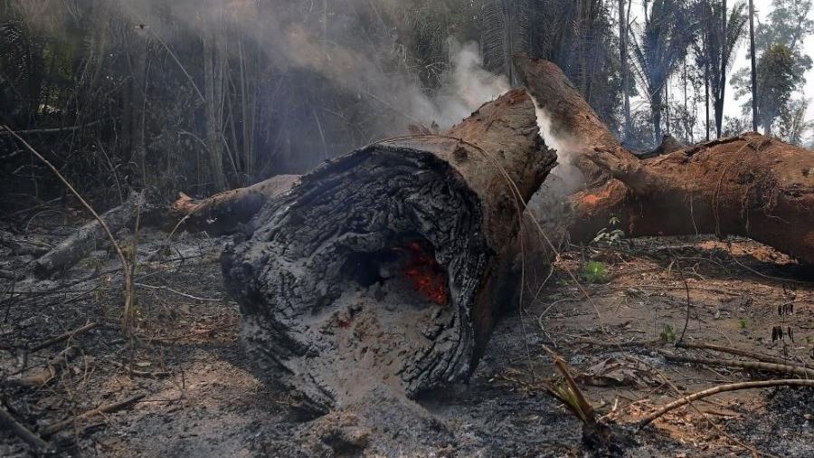 Encolhimento da Amazônia, estiagem, grandes queimadas e alterações climáticas se repetem ano a ano e geram preocupação, ansiedade e tristeza nos jovens - Getty Images