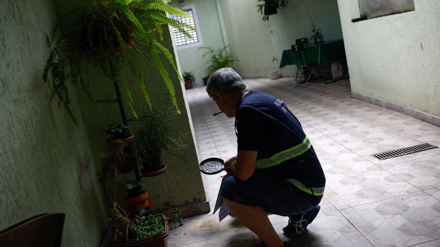 Agente de saúde procura água parada durante ação da Prefeitura de São Paulo para enfrentar o surto de dengue na cidade 