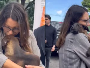 Janja adota cachorrinha resgatada em meio às chuvas no RS: 'Esperança'