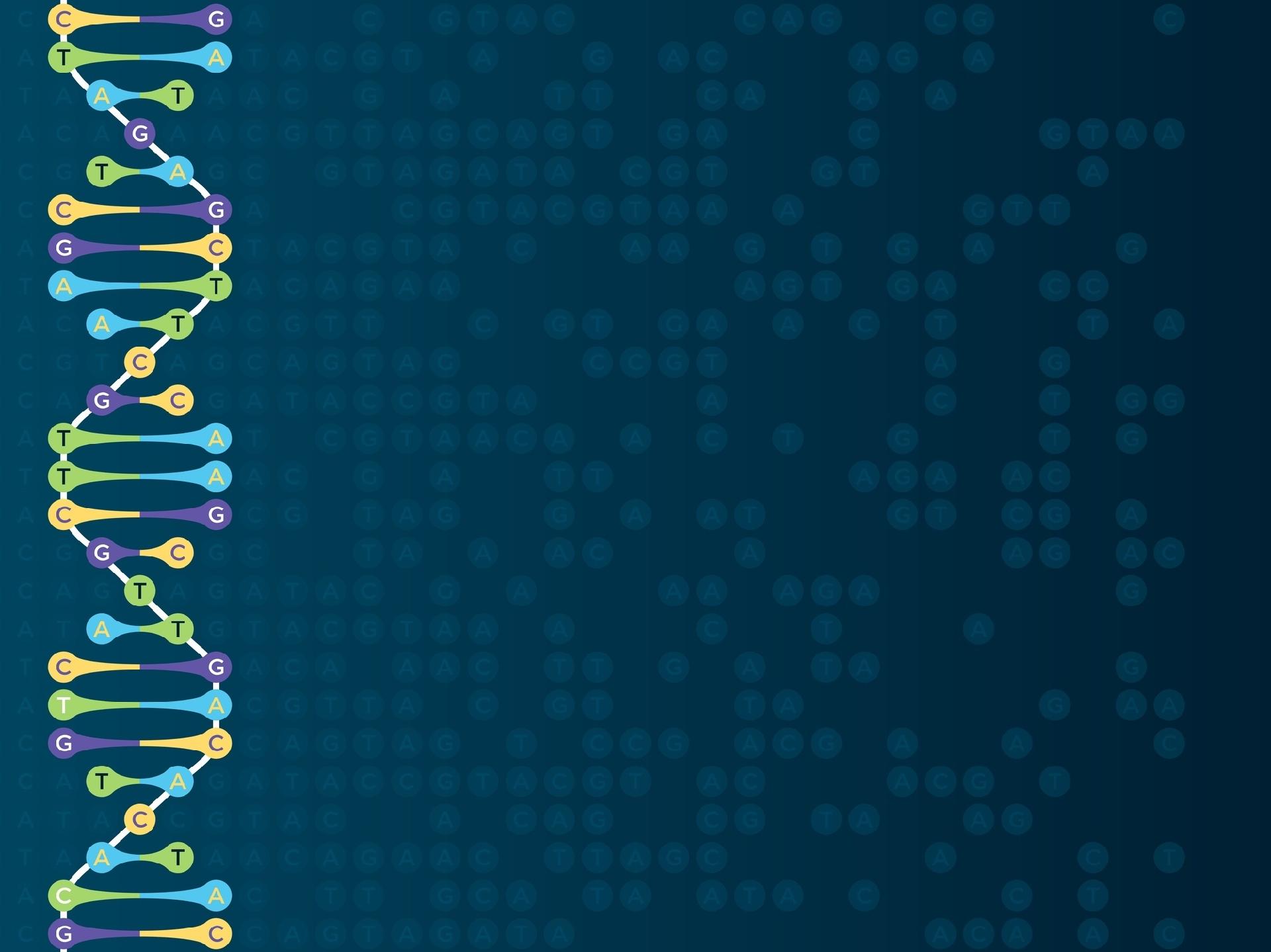 a c t g dna ganha mais 4 letras mas