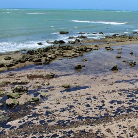 Óleo recobre corais na APA (Área de Proteção Ambiental) Costa dos Corais, em Japaratinga (AL) - Ricardo J. Miranda