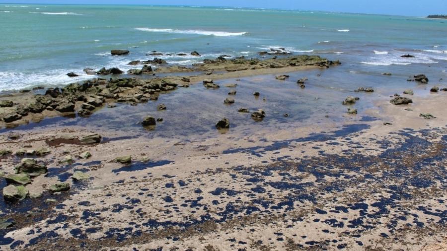 Óleo recobre corais na APA (Área de Proteção Ambiental) Costa dos Corais, em Japaratinga (AL) - Ricardo J. Miranda