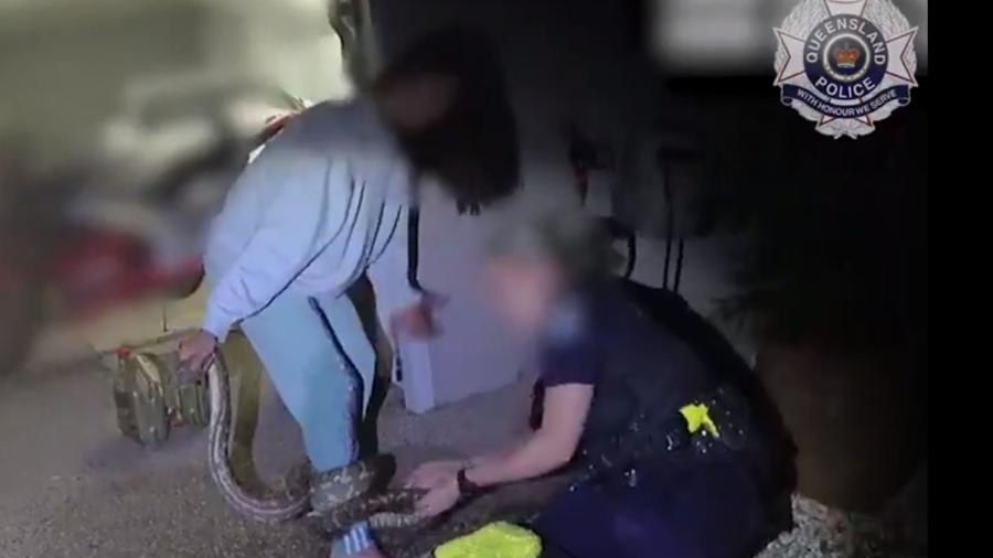 Mulher com cobra píton enrolada na perda é ajudada por policial - Reprodução/Queensland Police/Twitter