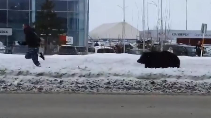 Urso-pardo persegue homem nas ruas de Nizhnevartovsk, na Rússia - Reprodução/Youtube/The Sun