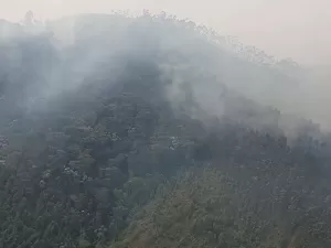 SP: Incêndios atingem 17 cidades; área de Campinas é a mais afetada