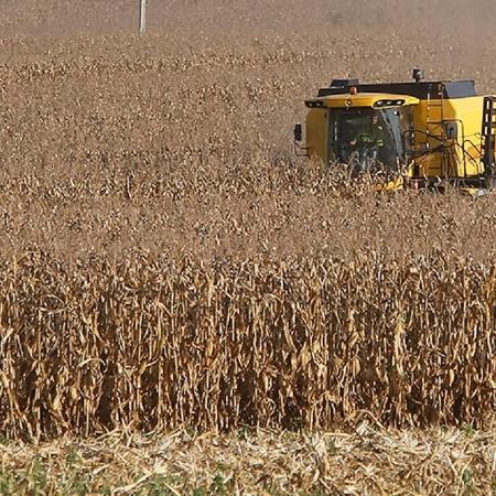 Milho tem alta no mercado e pode impactar mais preço de alimentos Milho tem alta no mercado e pode impactar mais preço de alimentos