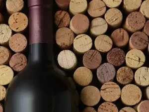 Grupo Wine anuncia nomeação de novo CEO