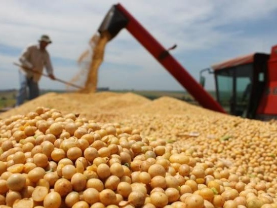 Incertezas sobre grãos no mundo favorecem ações da SLC Agrícola