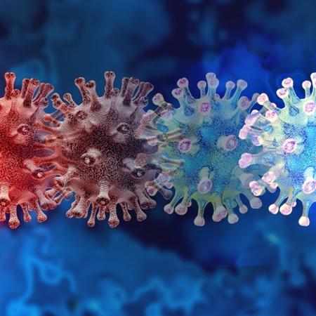 Fiocruz identifica variante do coronavírus em mais cinco estados  - Reprodução