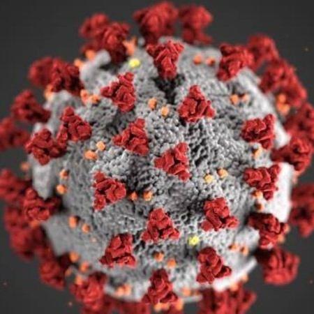 OMS diz ser improvável que novo coronavírus tenha surgido em laboratório - Divulgação/Pixabay