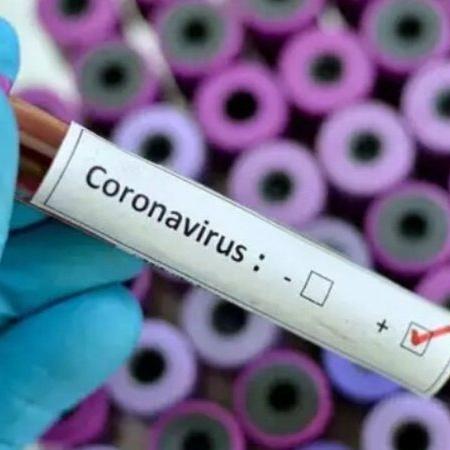 Anticorpos para variante sul-africana do coronavírus protegem outras cepas - Pixabay