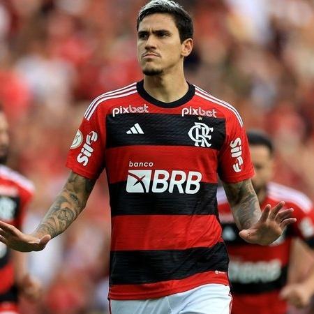 Pedro fez o gol da vitória do Flamengo: 1 a 0