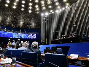 Senado discute orçamento 2025 e PEC das Praias, veja agenda da semana