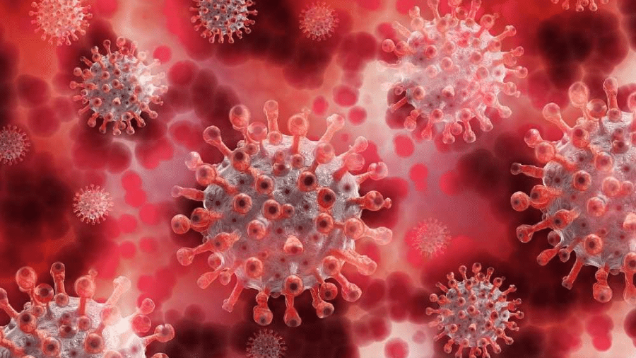Nova variante do coronavírus teria 32 mutações na proteína Spike, onde atuam as vacinas - Pixabay