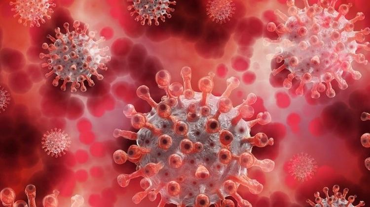 Nova variante do coronavírus é descoberta no Rio de Janeiro - Pixabay - Pixabay