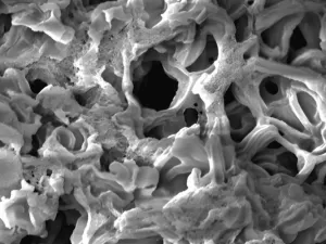 Um campo de futebol em uma colher: conheça o carbono inédito