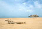 Misterioso esqueleto é encontrado em praia de São Paulo - Reprodução