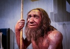 Linhagem neandertal ficou isolada por impressionantes 50 mil anos - Reprodução