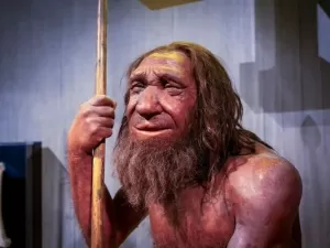 Linhagem neandertal ficou isolada por impressionantes 50 mil anos