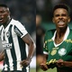 Brasileirão: Botafogo e Palmeiras fazem jogos decisivos visando a ponta da tabela; saiba onde assistir!