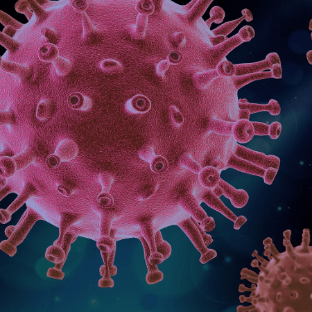 Nova variante do coronavírus é originária do Amazonas - Pixabay
