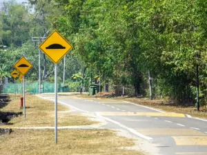 Valetas e lombadas causam prejuízo e viram inimigas dos carros elétricos