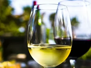 Os 200 melhores vinhos de até R$ 200 degustados pela Revista ADEGA