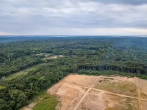 Emissões de gases do Brasil sofrem maior queda em 15 anos