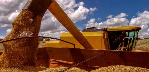 Puxada por soja, safra brasileira será recorde em 2026, projeta IBGE
