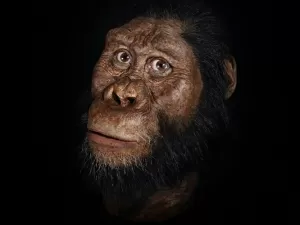 Lucy: 50 anos da descoberta que transformou a história da evolução humana