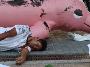 Primeiro protesto do Brasil na COP28 usa boto rosa gigante contra exploração de óleo na Amazônia