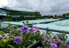 Programação Wimbledon: Terça com brasileiros, Alcaraz, Murray e muito mais - (Sem crédito)