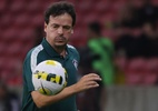 Fernando Diniz faz revelação sobre futuro no Fluminense - GettyImages