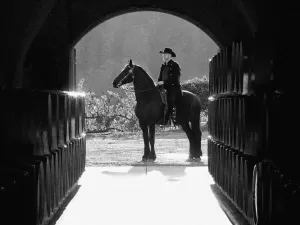 O Cowboy que criou um clube de vinhos com assinatura de 1 milhão de dólares