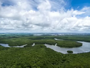  BID Invest emite R$ 50 mi em bonds para negócios na Amazônia 