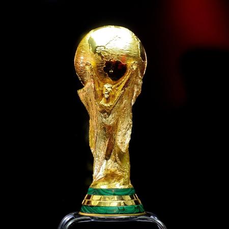 Taça da Copa do Mundo (Betina Humeres/ BD) - Reprodução / Internet