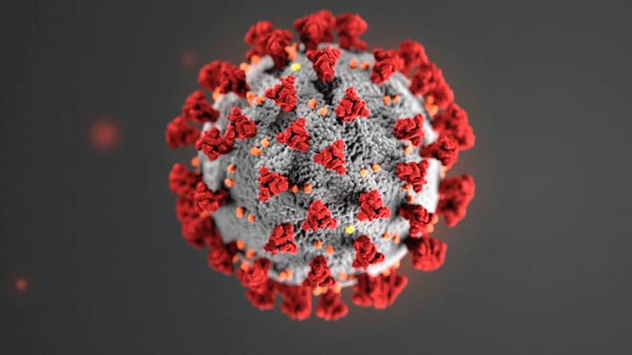 Cientistas brasileiros sequenciaram o genoma do coronavírus detectado em SP em apenas 48 horas - Imagem: CDC